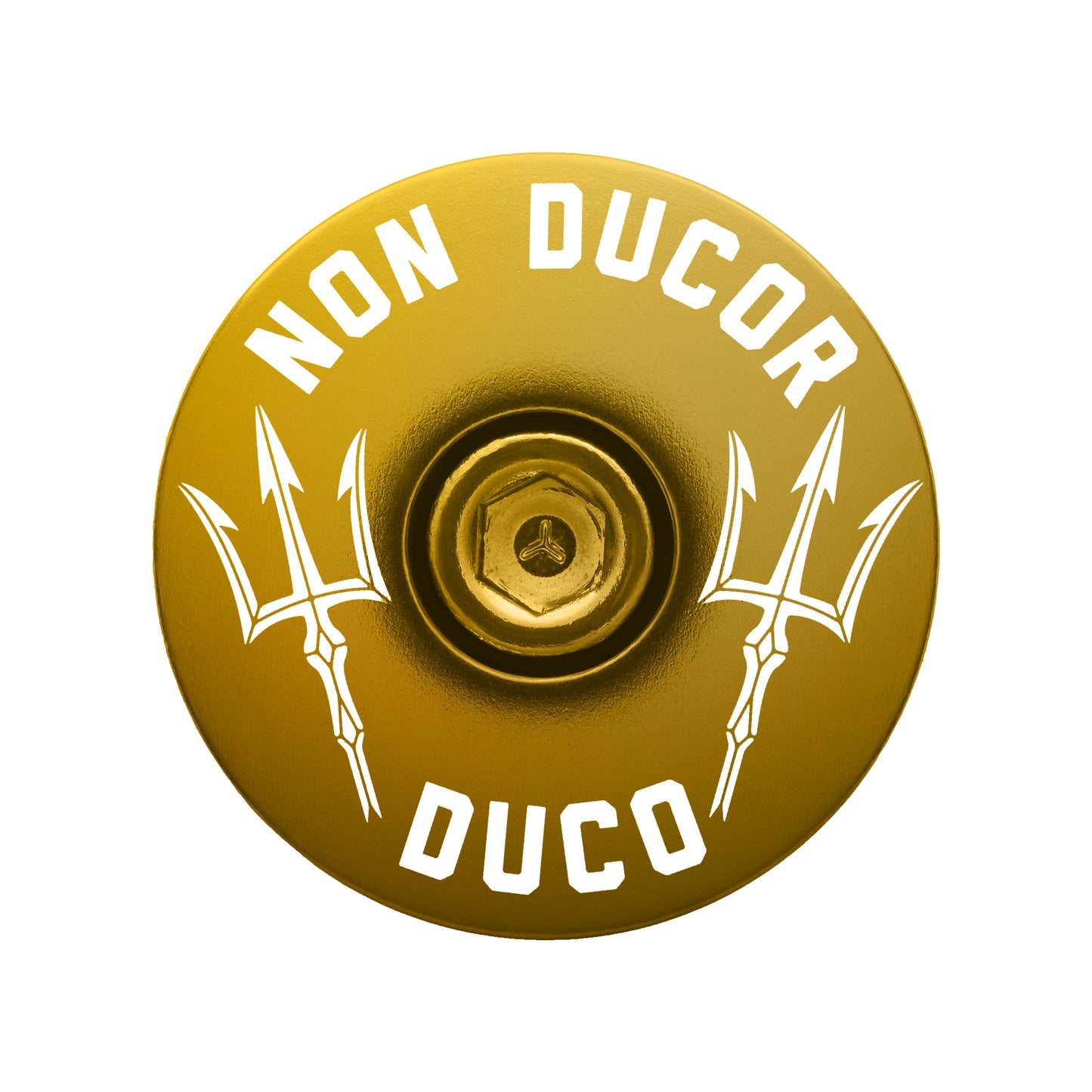 Gold bike headset cap with "No Bad Rides" design for a personal cycling touch.