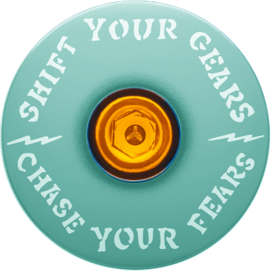 Chase Your Fears Go Fast Don't Die x Dispatch - Custom Bicycle Headset Cap