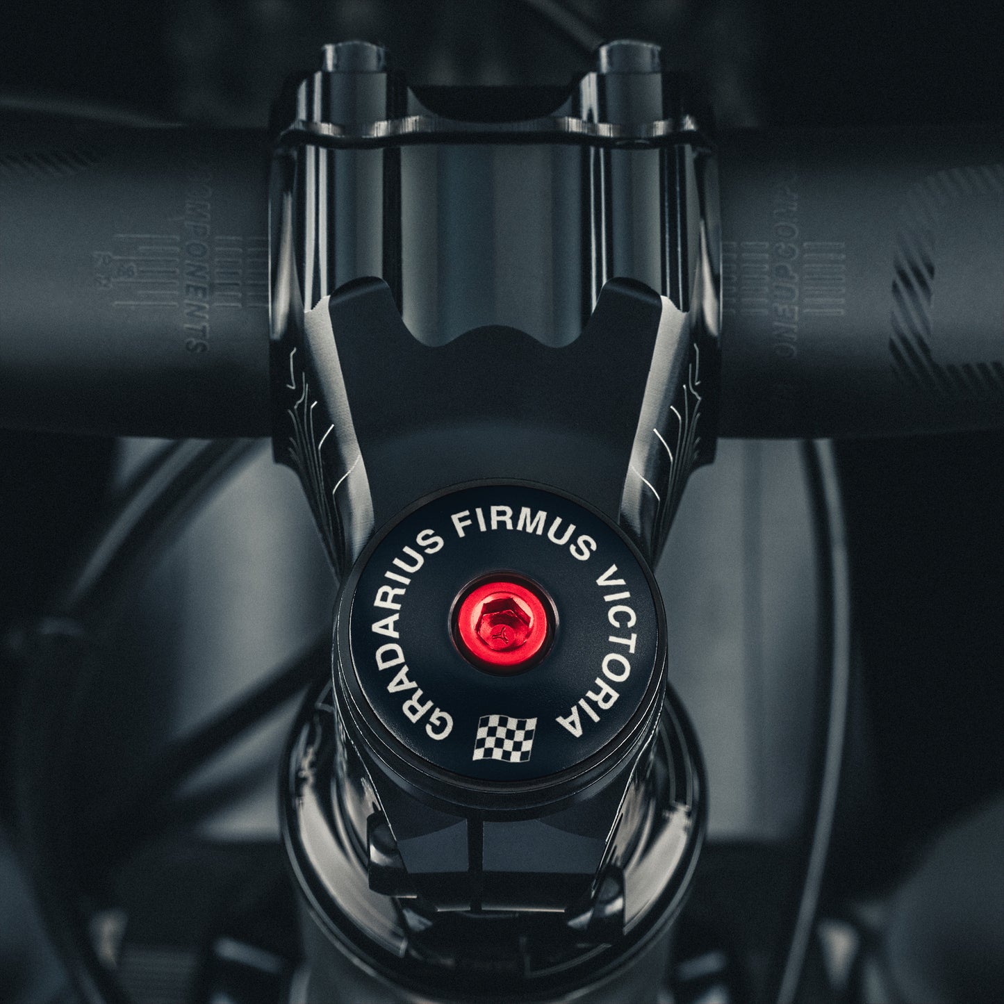 Custom bike stem cap designed to fit 1 1/8" steerer tubes, perfect for adding a personal touch to your bicycle equipment.