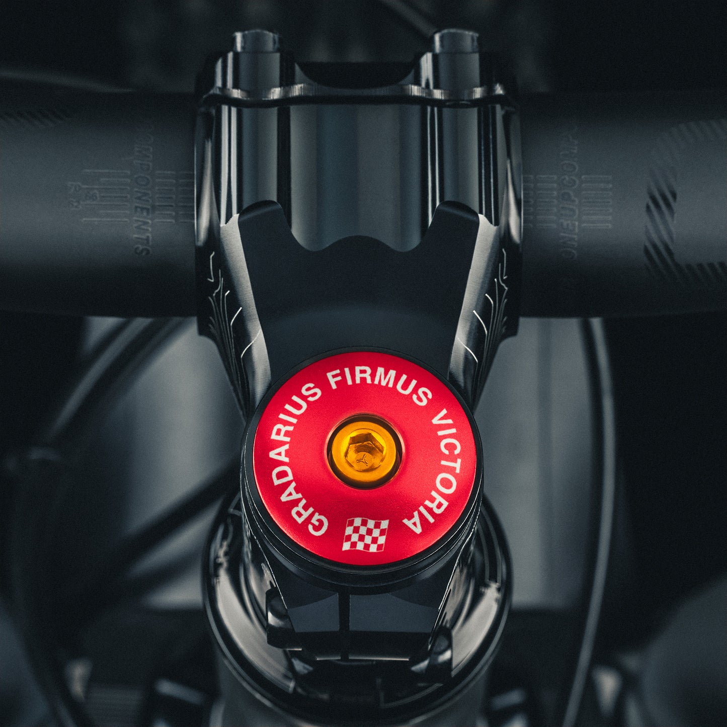 Slow & Steady Wins The Race Custom Bicycle Headset Cap for easy customization and personalized touch to your bike. Ideal for mountain bike stem caps.