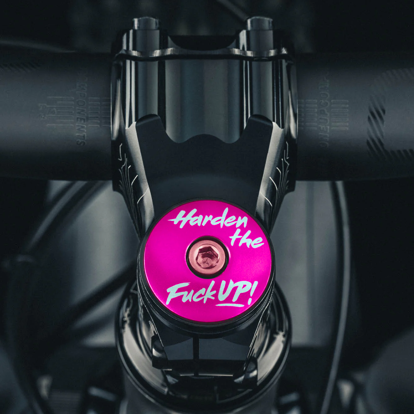 Hot pink personalized bike stem cap fits 1 1/8-inch steerer tubes made from aluminum.