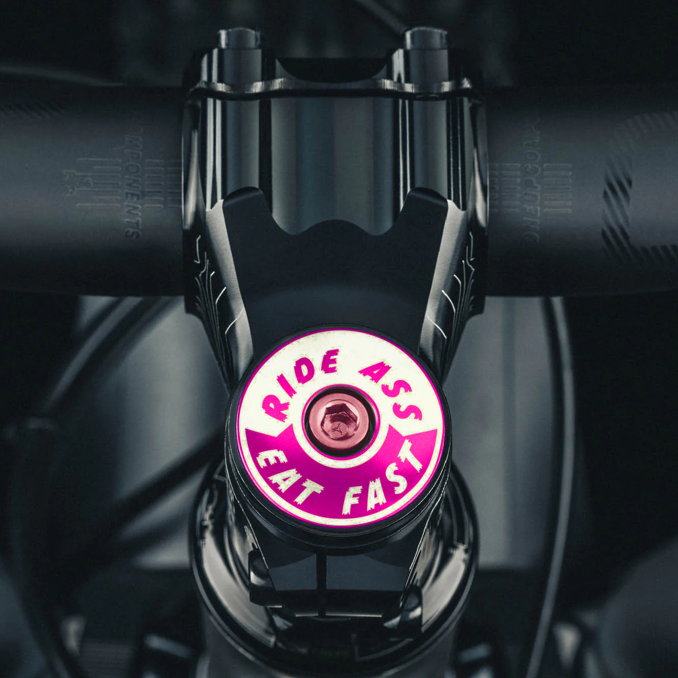 Hot pink Ride Ass Eat Fast bike headset cap for 1 1/8 steerer tubes adds personality to your bicycle top cap.