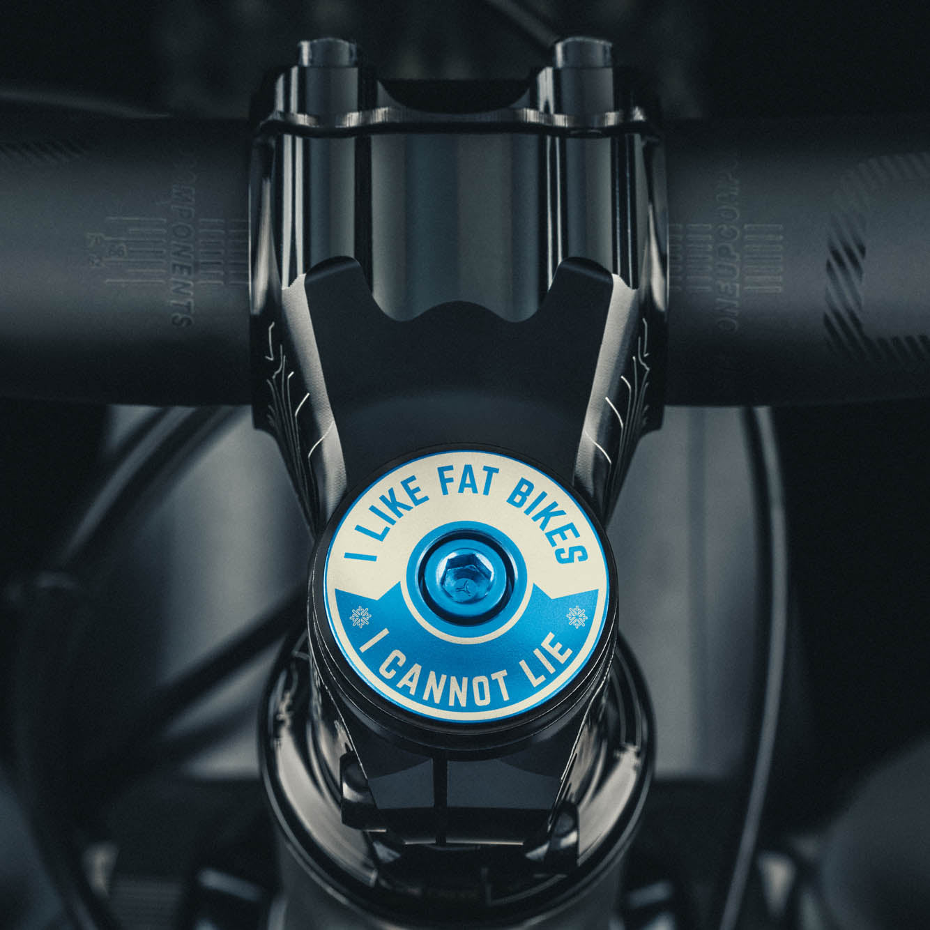 I Like Fat Bikes & I Cannot Lie Bicycle Headset Cap with "I Like Fat Bikes" design crafted from anodized aluminum.