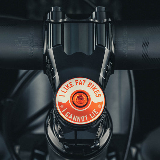 I Like Fat Bikes & I Cannot Lie Bicycle Headset Cap - Dispatch Bike