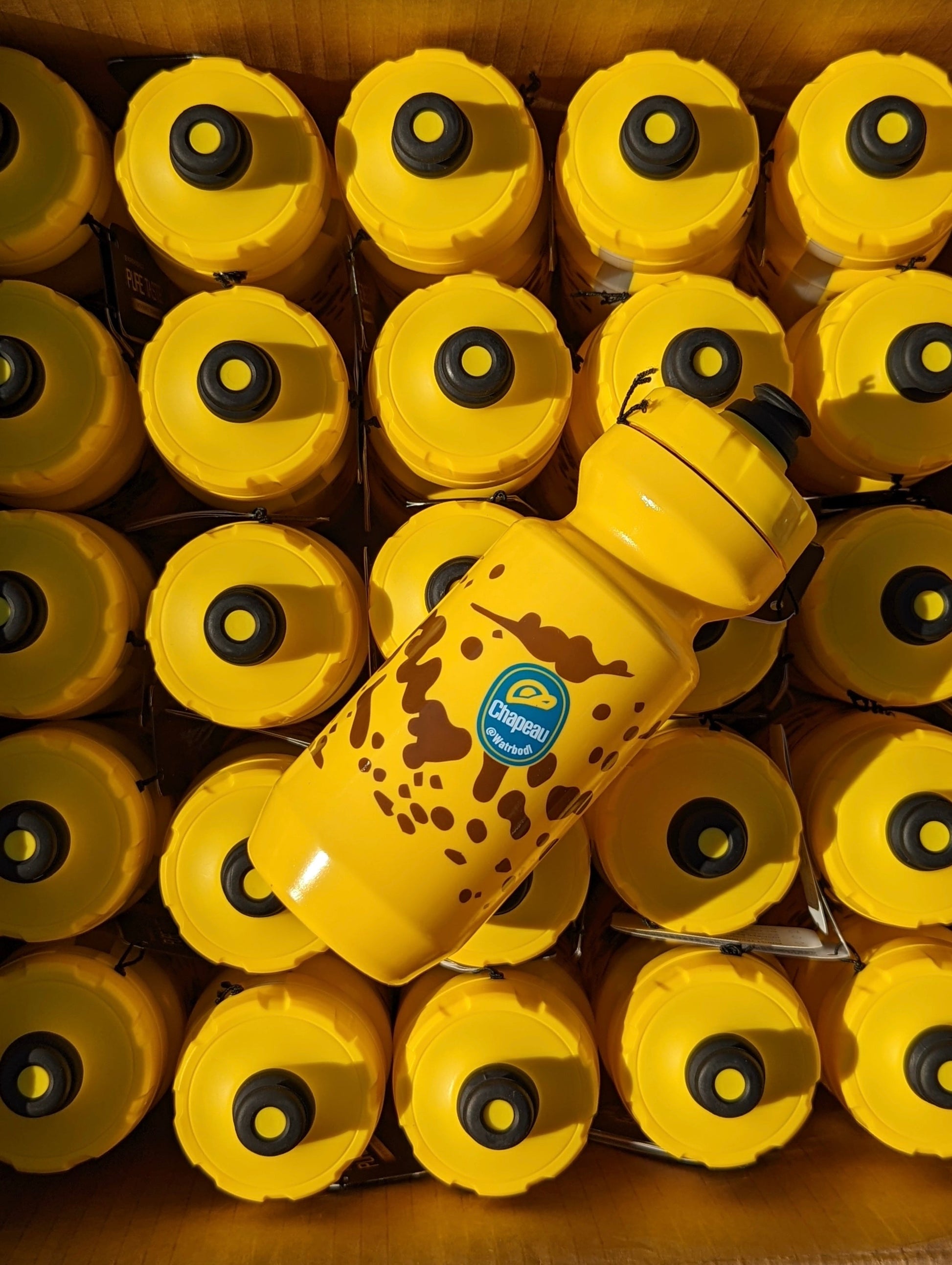 Dispatch Bike Chapeau Best Cycling Water Bottle for Every Ride
