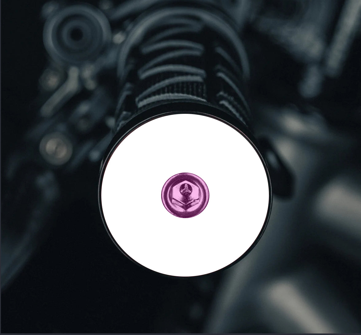 Throwback White NO TEXT/IMAGE - Purple mtb bar end plugs with matching headset cap and bolt for a custom bicycle setup