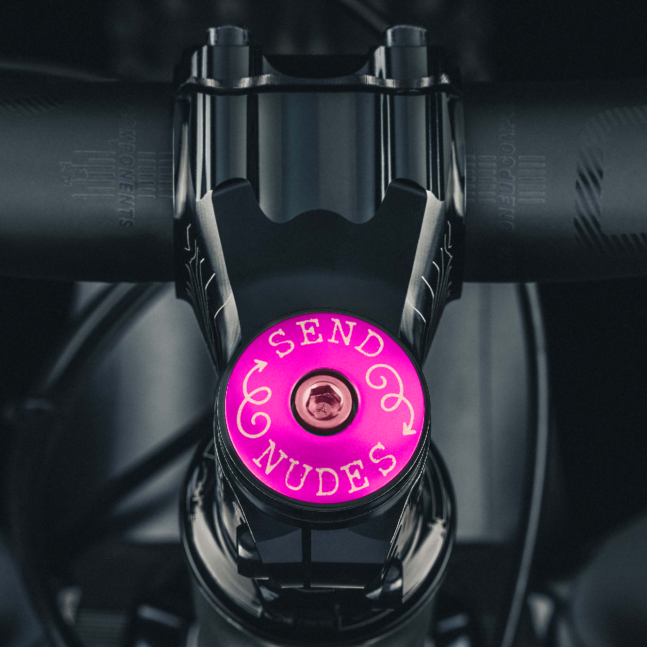 Send Nudes Bicycle Headset Cap