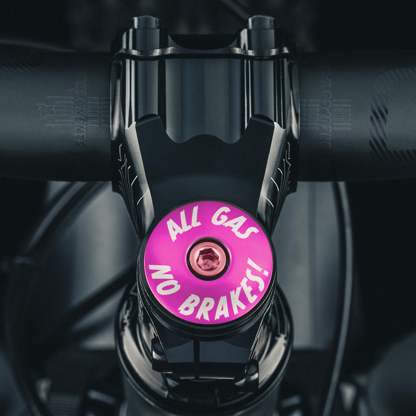 Purple custom stem cap with 'All Gas No Brakes' engraving for bike headset.