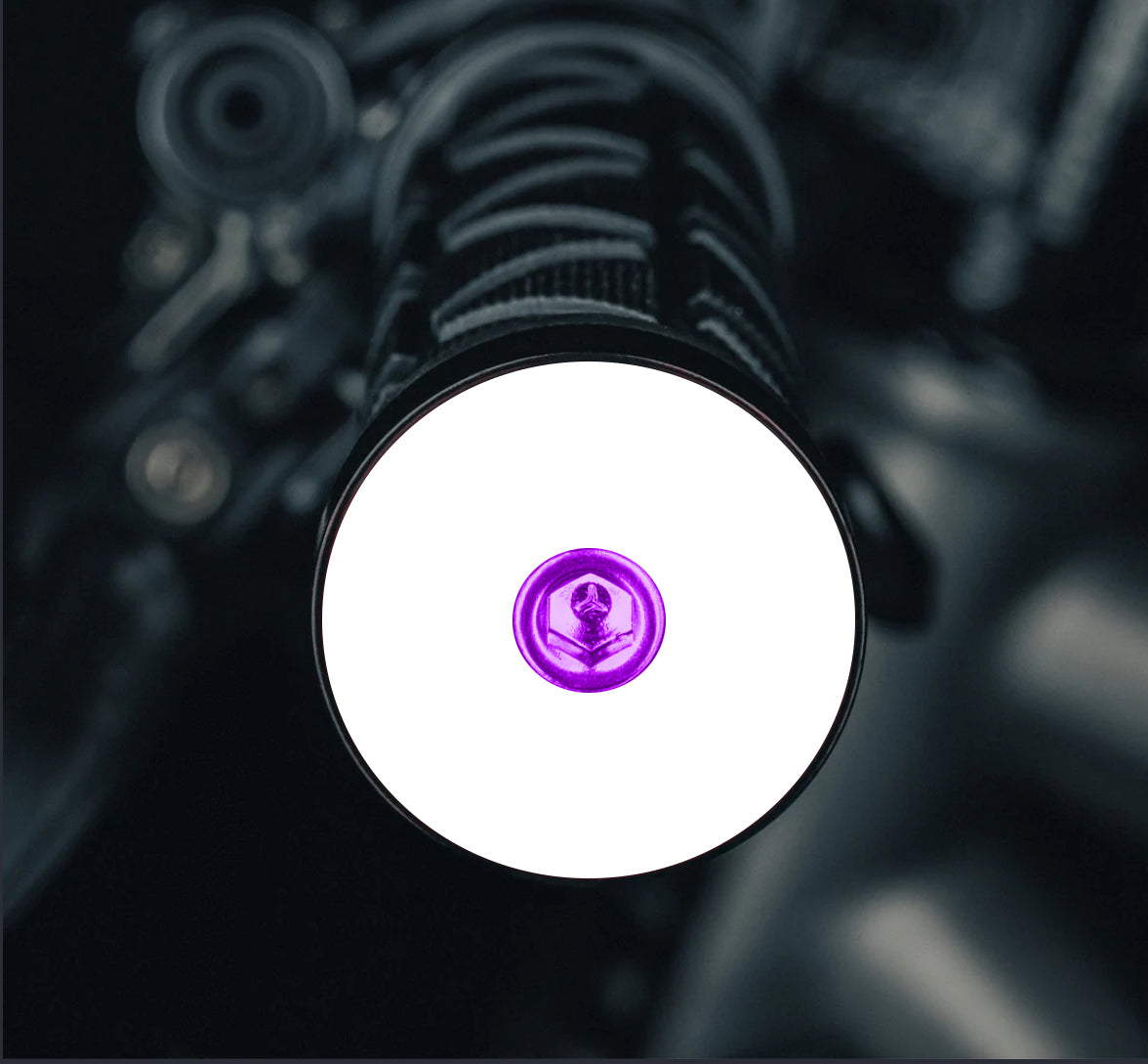 Throwback White NO TEXT/IMAGE - Purple MTB bar end plugs with matching headset cap and bolt for a custom bicycle setup